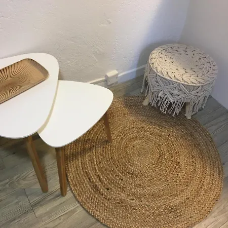 Appartement Et Ses Trésors *